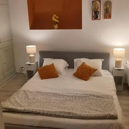 Appartement Le Petit Cozy - T2 En Centre-ville *