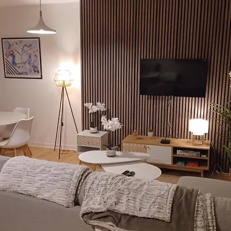 Le Petit Cozy - T2 En Centre-ville