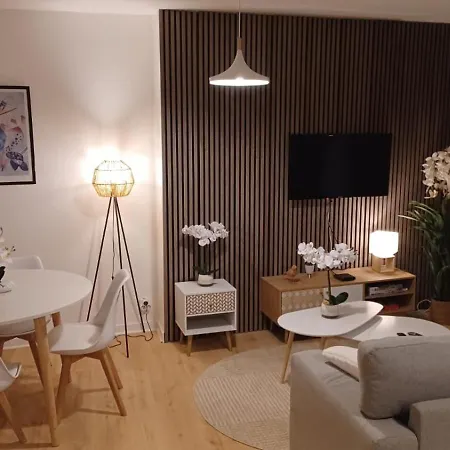 Le Petit Cozy - T2 En Centre-ville