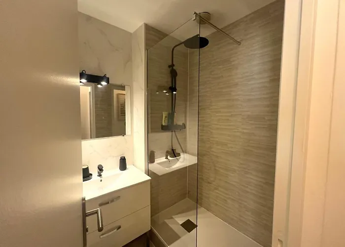 Apartment Le Petit Cozy - T2 En Centre-ville Poitiers