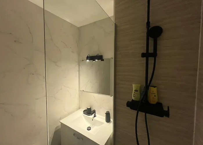 Apartment Le Petit Cozy - T2 En Centre-ville Poitiers