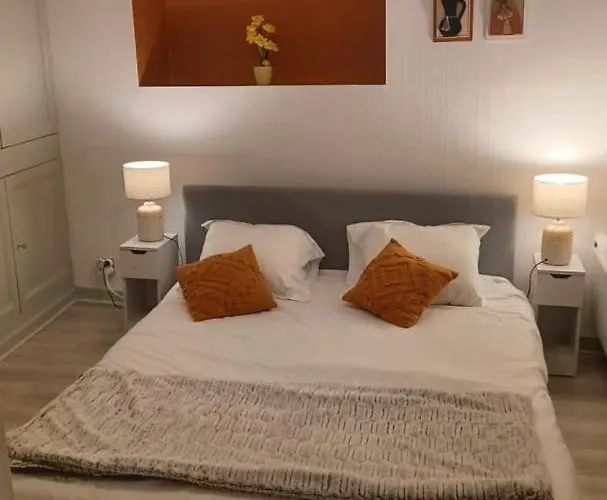 Apartment Le Petit Cozy - T2 En Centre-ville *