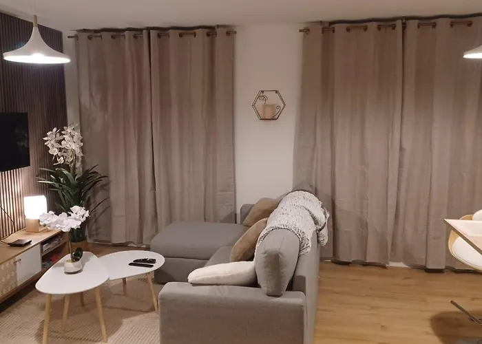 Apartment Le Petit Cozy - T2 En Centre-ville *