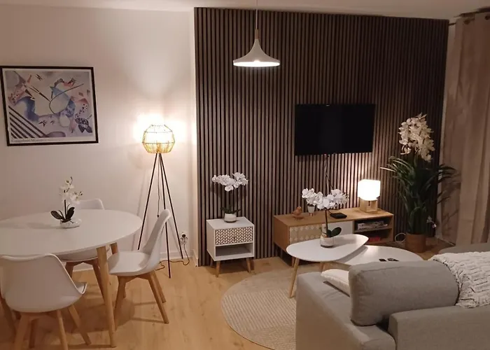 Le Petit Cozy - T2 En Centre-ville