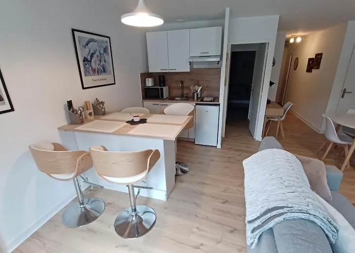 Apartment Le Petit Cozy - T2 En Centre-ville Poitiers